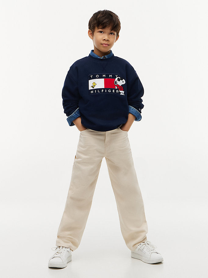 Pullover con bandierina e grafica Peanuts®