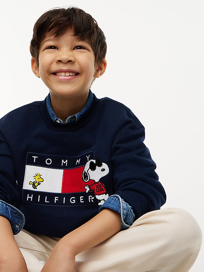 Pullover con bandierina e grafica Peanuts®