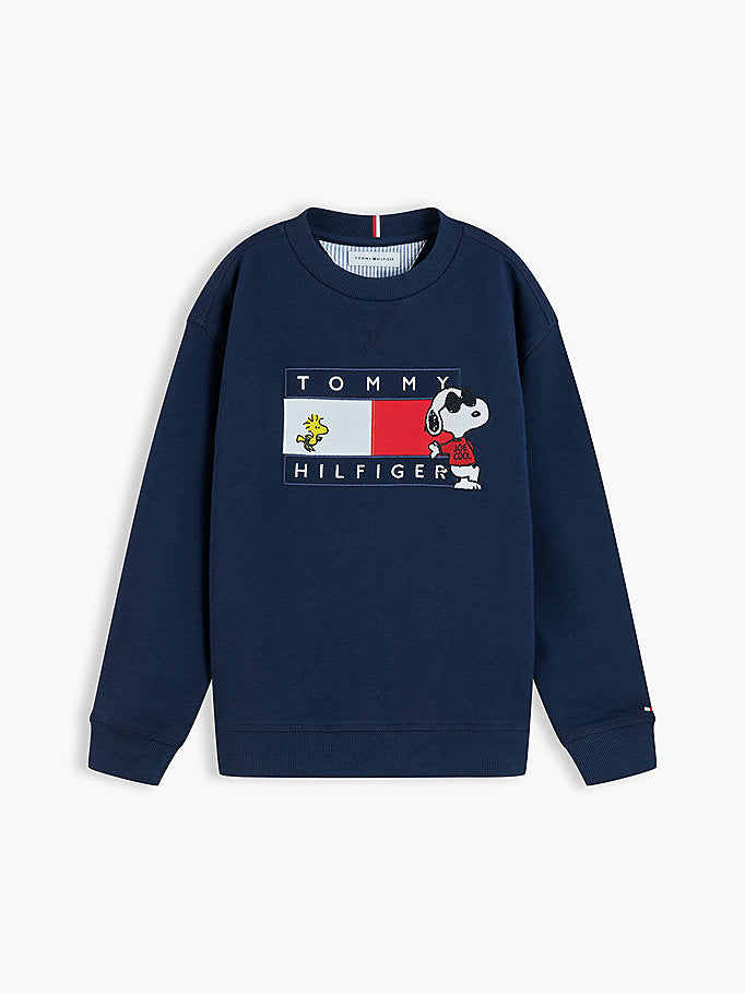 Pullover con bandierina e grafica Peanuts®