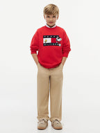 Pullover con bandierina e grafica Peanuts®