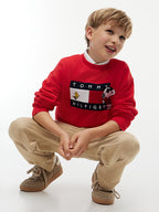 Pullover con bandierina e grafica Peanuts®