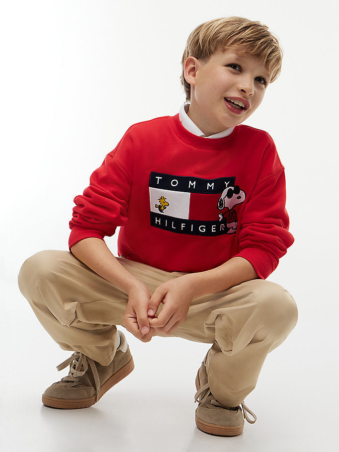 Pullover con bandierina e grafica Peanuts®