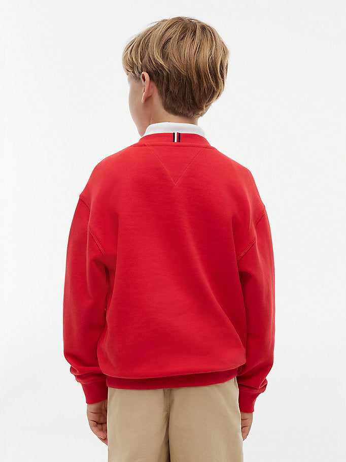 Pullover con bandierina e grafica Peanuts®