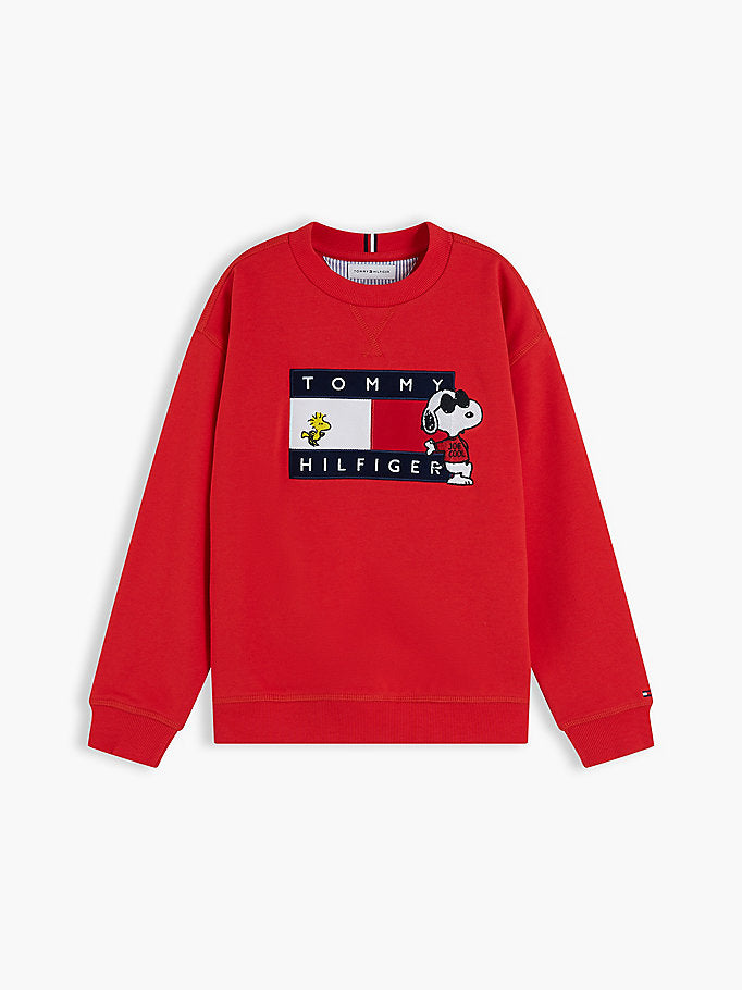 Pullover con bandierina e grafica Peanuts®