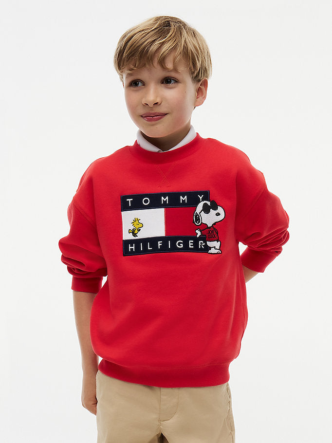 Pullover con bandierina e grafica Peanuts®